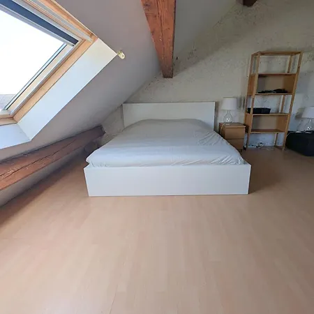 Spacieux Duplex Avec Terrasse