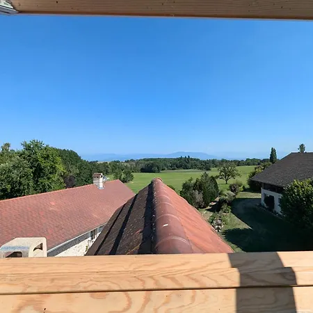 Spacieux Duplex Avec Terrasse * Divonne-les-Bains